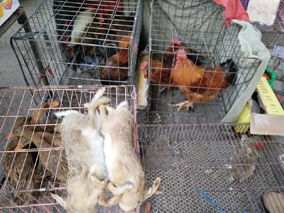 雪霁集市闹腾腾 农村腊月里的烟火人间