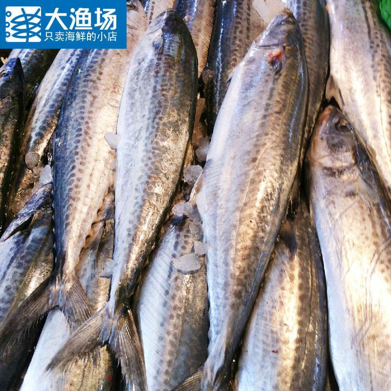 渤海湾的鲜味之王 大连冰鲜鲅鱼的舌尖之旅