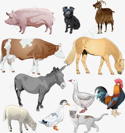高清矢量卡通家禽素材与鲜活水产品装饰图案免费下载