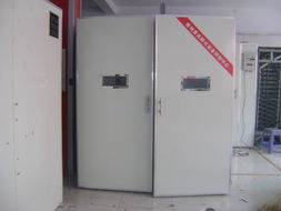 张家界晨光家禽孵化机 引领现代养殖的全自动孵化设备